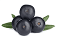Acai Berry