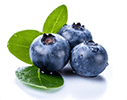 Blue Berry