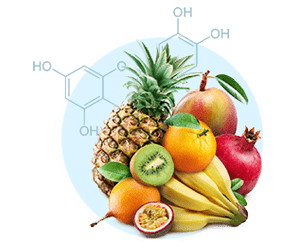 Quercetin ingredient