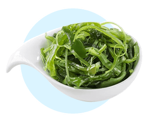 Fucoxanthin ingredient