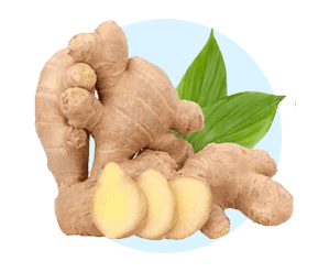 Ginger ingredient